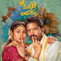 Aa Okkati Adakku (Hindi Dubbed)